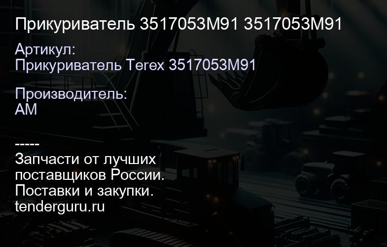 Прикуриватель 3517053M91 3517053M91 | купить запчасти